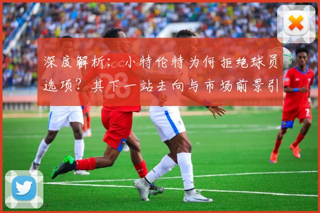 深度解析：小特伦特为何拒绝球员选项？其下一站去向与市场前景引发联盟广泛关注